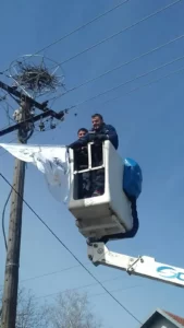 Спањавање рода 21