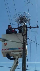 Спањавање рода 15