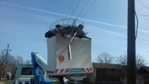 Спањавање рода 8