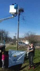 Спањавање рода 23