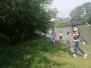 Чишћење Бегеја 20