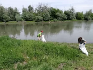 Чишћење Бегеја 19