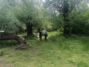 Чишћење Бегеја 14