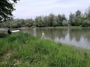 Чишћење Бегеја 11