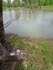 Чишћење Бегеја 2