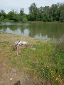 Чишћење Бегеја 27